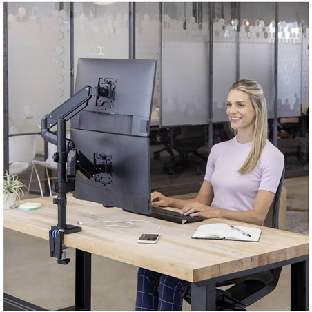 Fellowes Platinum Series braccio monitor doppio verticale