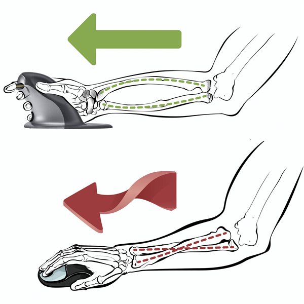 Fellowes Penguin ambidestro mouse verticale S - wireless