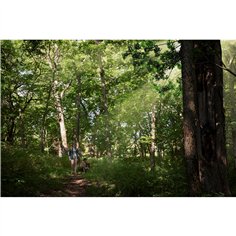 Fellowes Memory Foam poggiapolsi con tappetino mouse nero