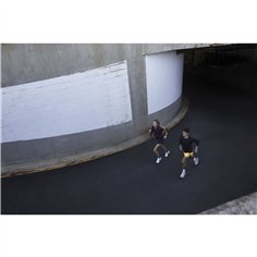 Fellowes Professional Series braccio monitor sing. con base