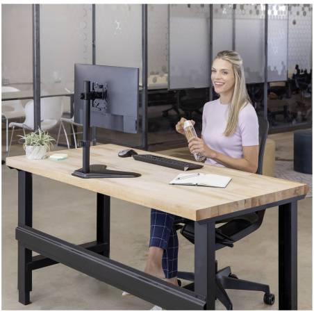 Fellowes Professional Series braccio monitor sing. con base