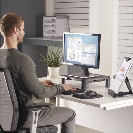 Fellowes Standard Monitor supporto nero/grigio