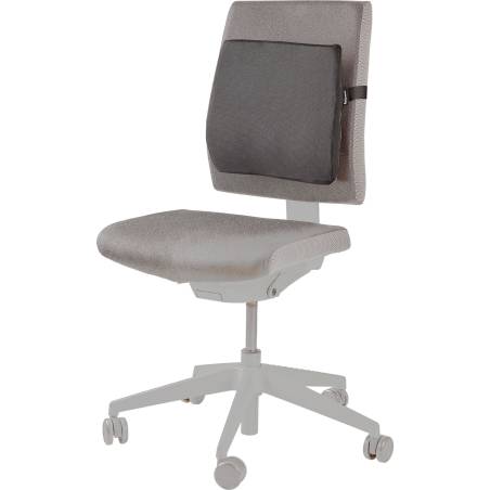 Fellowes Breyta Comfort Cushion Back Support