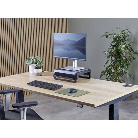 Fellowes Breyta XL tappetino mouse, salvia