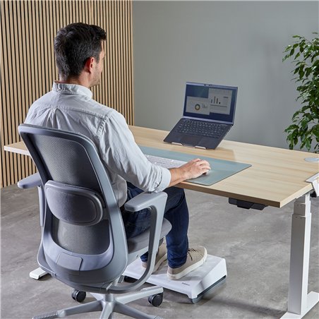 Fellowes Alumia silver Mobile Laptop Stand
