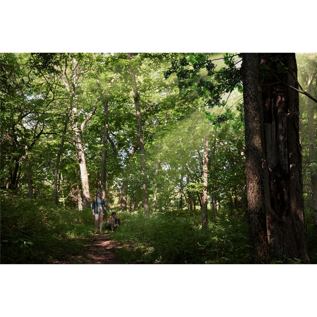 Fujifilm Instax Mini Album Friendship  Friends