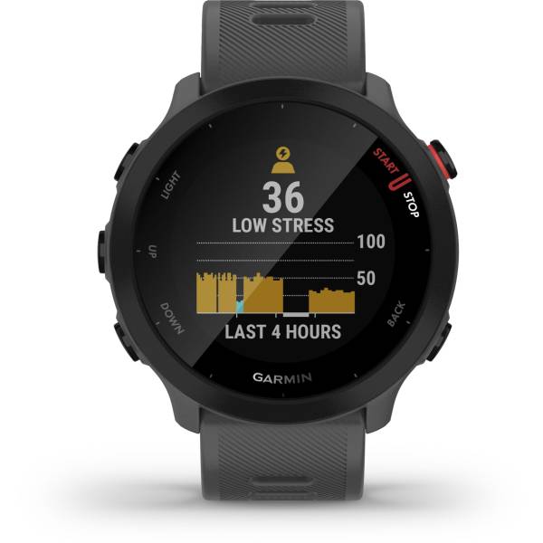 Garmin Forerunner 55 grigio