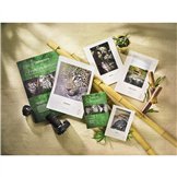 Garmin Dash Cam Mini 3