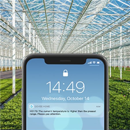 Govee - WiFi termometro igro- metro