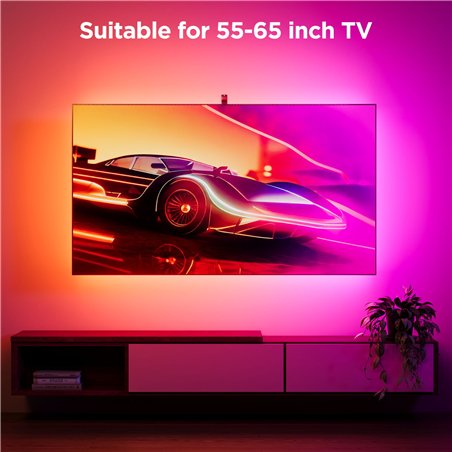 Govee Netflix Envisual TV Backlight 55-65 Inch