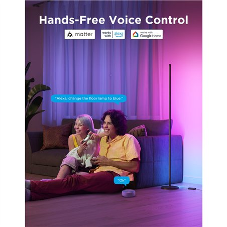 Govee - RGBICW Floor Lamp Matter