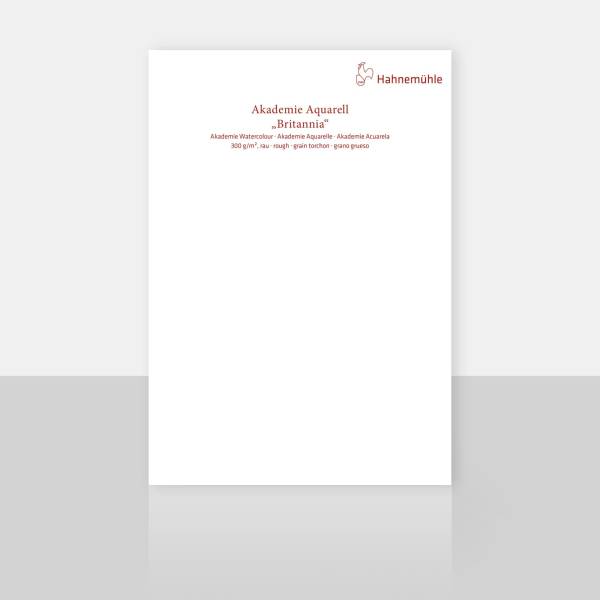 Hahnemühle blocco per acquerelli 12 p. Britannia ruv.30x40cm 300g