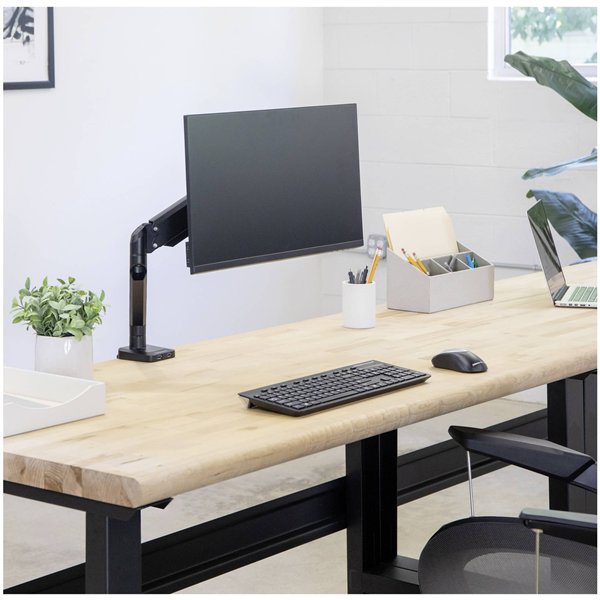 Fellowes Platinum Series Single braccio per monitor