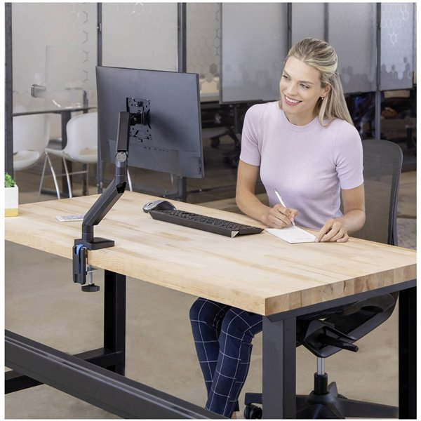 Fellowes Platinum Series Single braccio per monitor