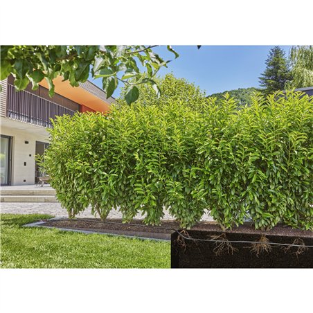 Gardena Micro-Drip-System tubo 1,6 l/h, 25m