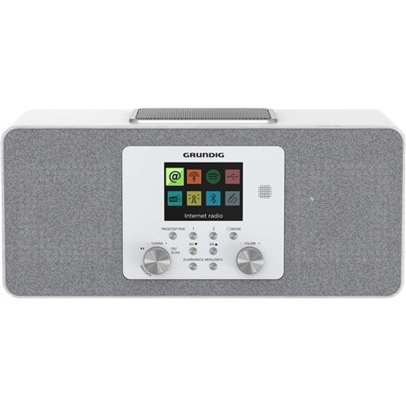 Grundig DTR 6100 bian.