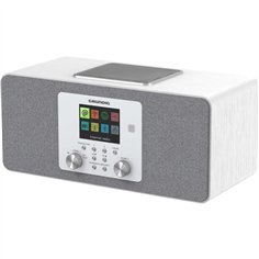 Grundig DTR 6100 bian. 2