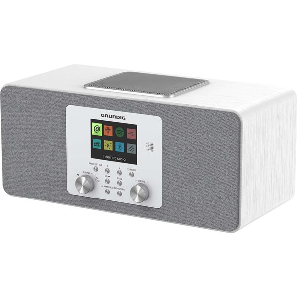 Grundig DTR 6100 bian.