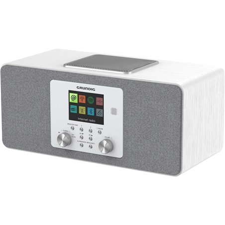 Grundig DTR 6100 bian.