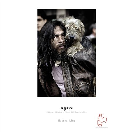 Hahnemühle Agave opaco, bianco 43,2 cm (17 ) x 12 m, 290 g