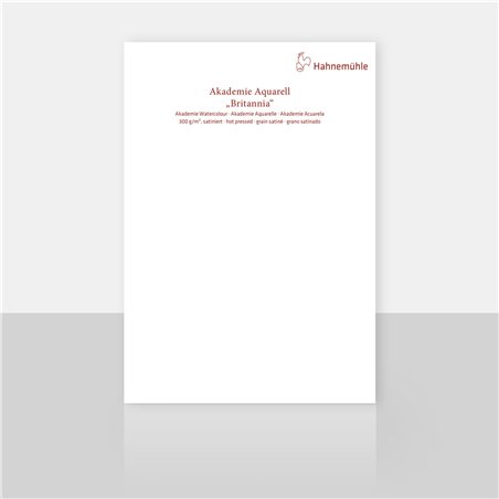 Hahnemühle blocco p.acquer. 12f. Britannia satinato 30x40cm 300g