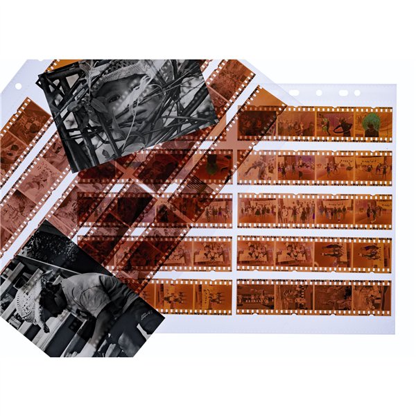 Herma negative KB strisce a 4 PP chiaro       100 fogli   7768