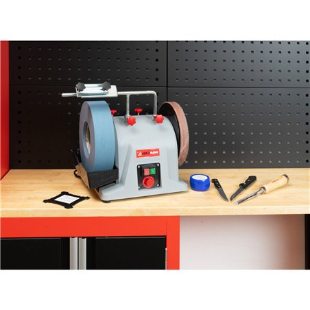 Holzmann NTS250S affilatrice a umido e secco