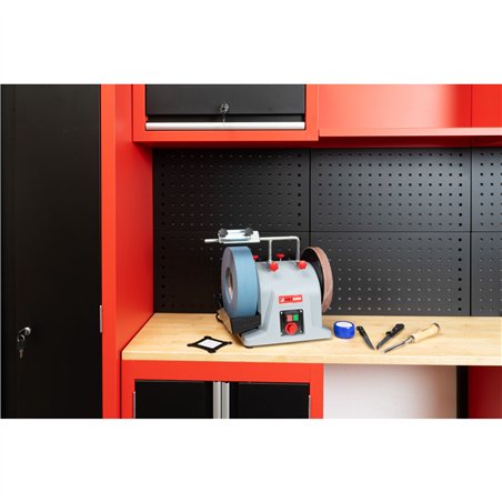 Holzmann NTS250S affilatrice a umido e secco