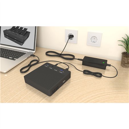 ICY BOX IB-4013MCL-C4 Docking clone stat. M2 NVMe SSD