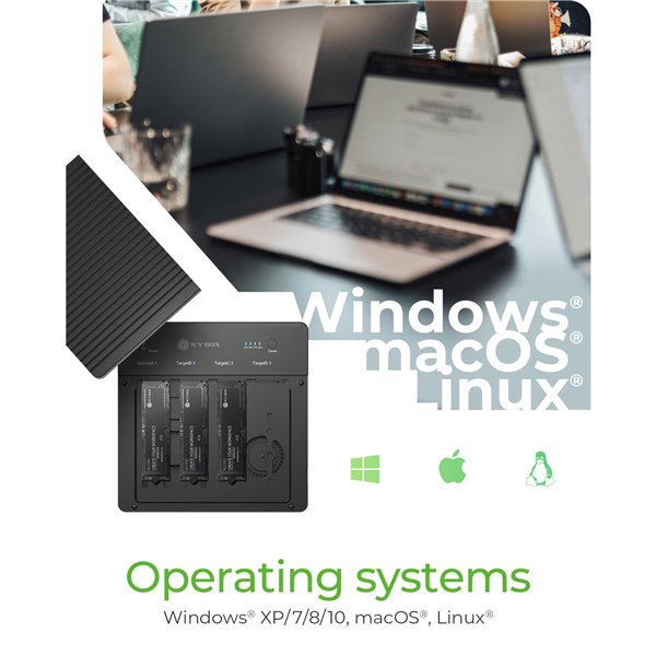 ICY BOX IB-4013MCL-C4 Docking clone stat. M2 NVMe SSD