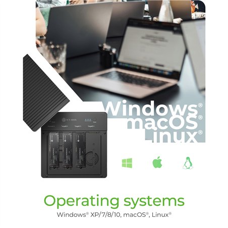 ICY BOX IB-4013MCL-C4 Docking clone stat. M2 NVMe SSD