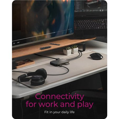 ICY BOX IB-DK4071M-CU31 Multi Dockingstation