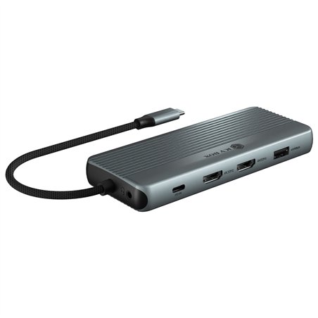 ICY BOX IB-DK4062-CPD Multi Dockingstation