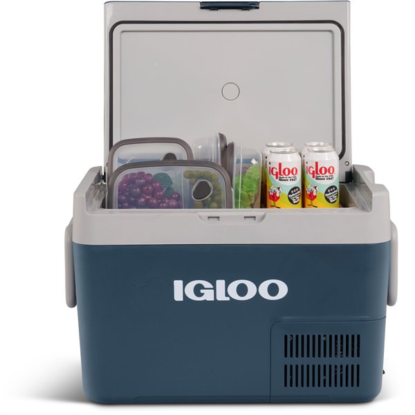 IGLOO ICF 60 borsa frigo compress. 59 litri