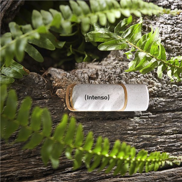 Intenso Green Line 32GB USB Stick 3.2 Gen 1