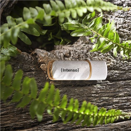 Intenso Green Line 64GB USB Stick 3.2 Gen 1