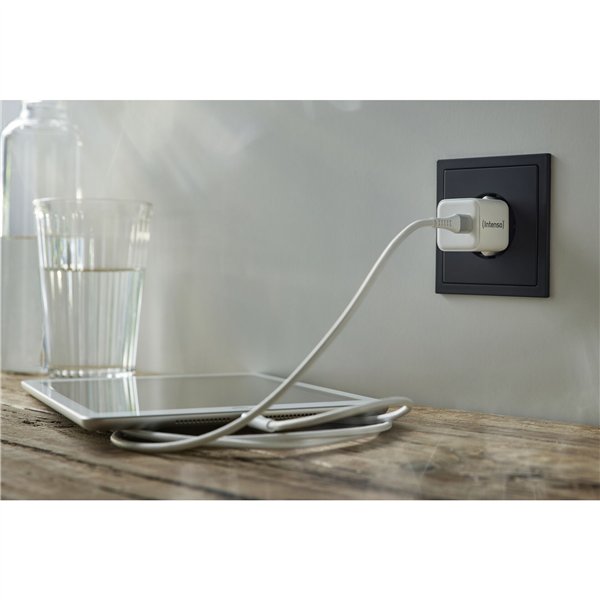 Intenso Power adatt. W30C GaN bian. 1x USB-C 30W