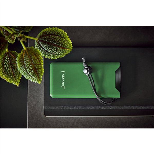 Intenso Powerbank F10000 verde 10000 mAh incl. USB-C a tipo C