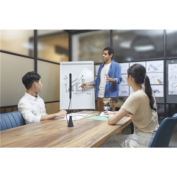 IPEVO TOTEM 120 gradi 4K telecamera per videoconferenze