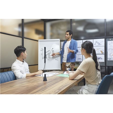 IPEVO TOTEM 120 gradi 4K telecamera per videoconferenze