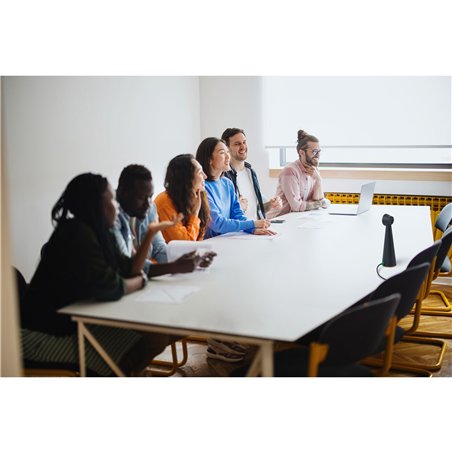 IPEVO TOTEM 180 gradi 4K telecamera per videoconferenze