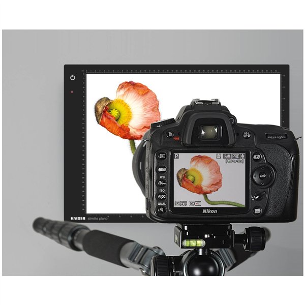 Kaiser LED piastra luminosa 42,9x30,9cm