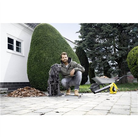 Kärcher LBL 4 Battery