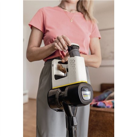 Kärcher VC 4 Cordless myHome Pet