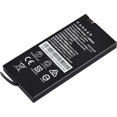 Kandao QooCam EGO batt.