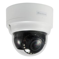 LevelOne FCS-3303 HUBBLE telecamera rete zoom dome IP 3MP