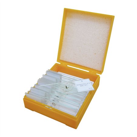 Levenhuk N18 NG set vitrini preparati