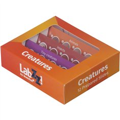 Levenhuk LabZZ C12 set vetrini preparati