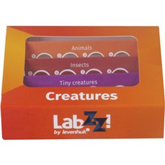 Levenhuk LabZZ C12 set vetrini preparati 2