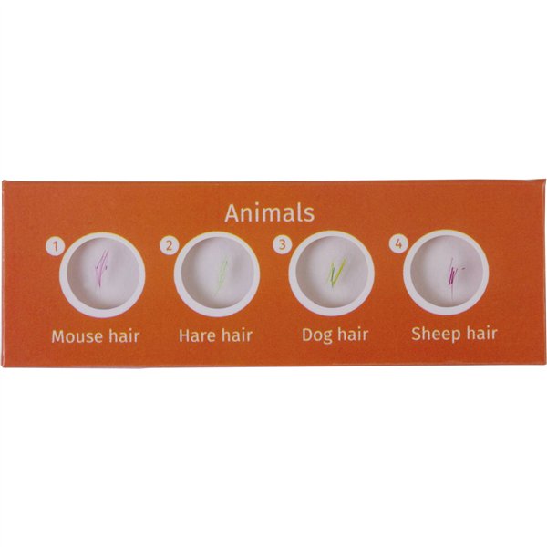 Levenhuk LabZZ C12 set vetrini preparati